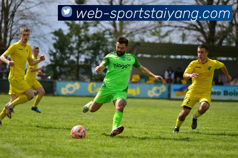 太阳城平台生态图